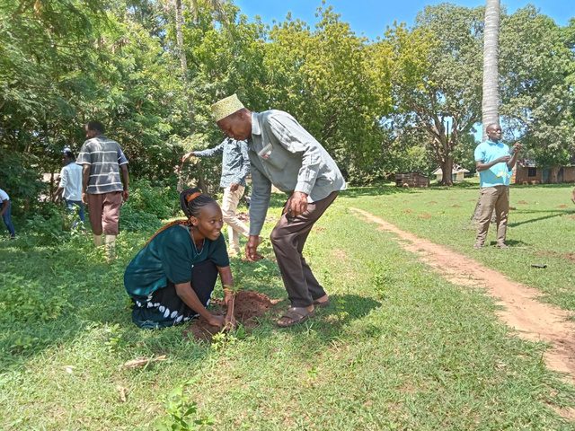 Planting a tree with community elders