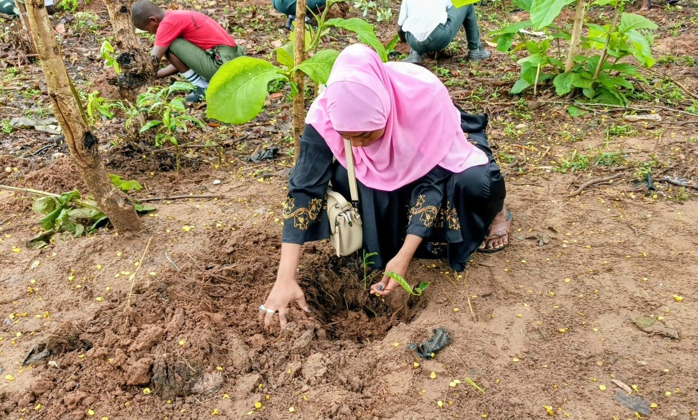 Community members planting seedlings across a field