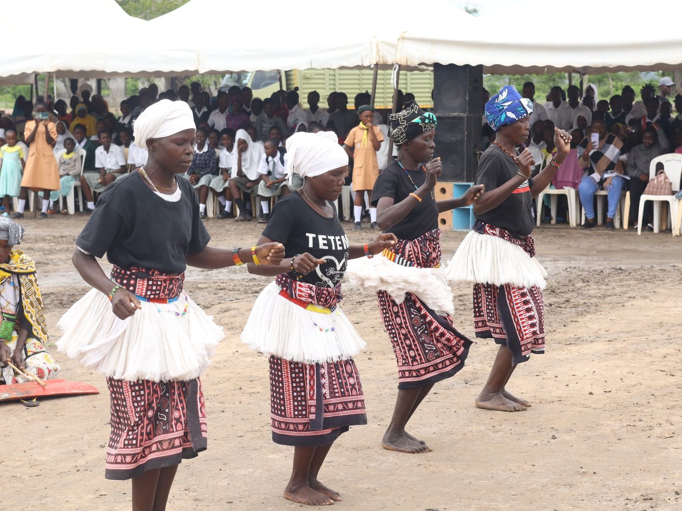 Traditional dancers performing at an Ecolive tree-planting event