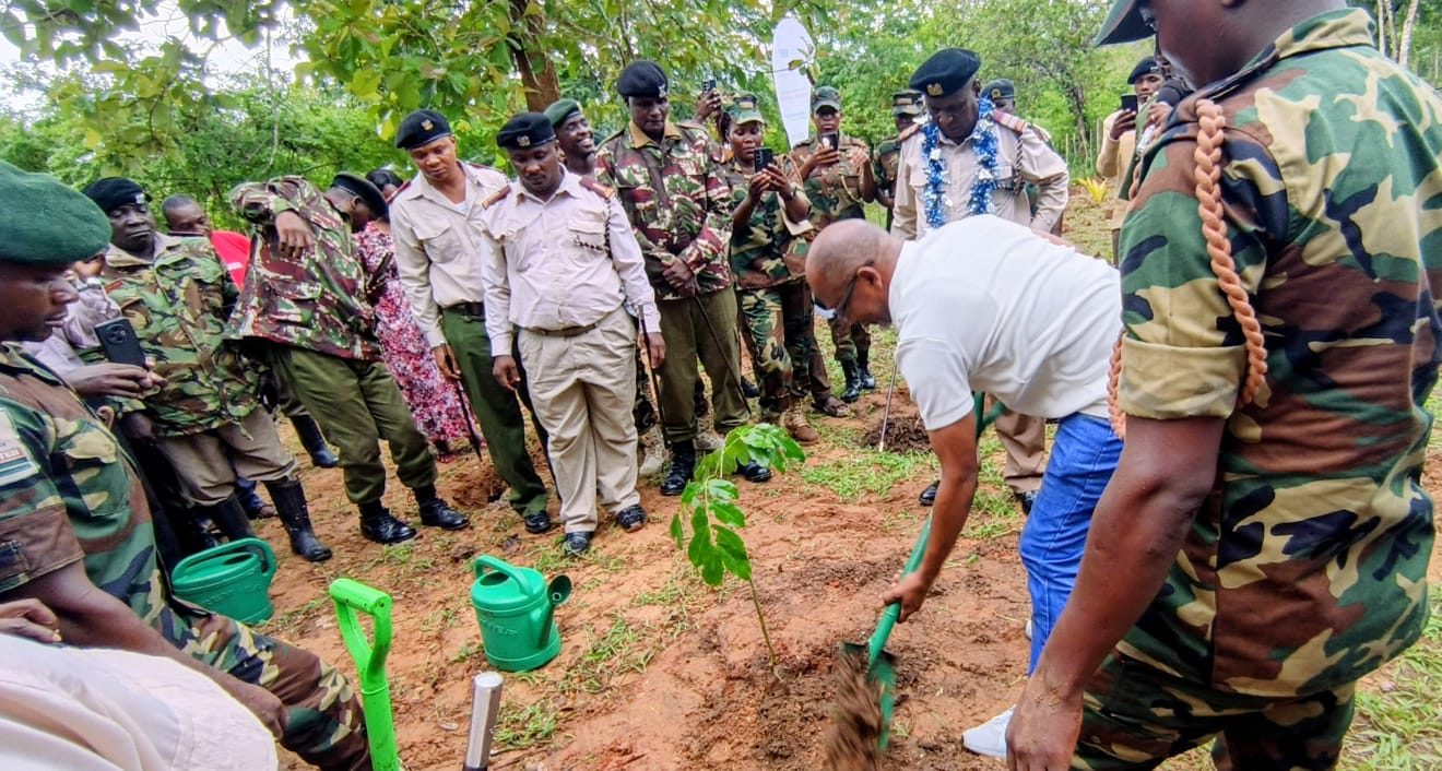 A community leader planting a tree surrounded by officials