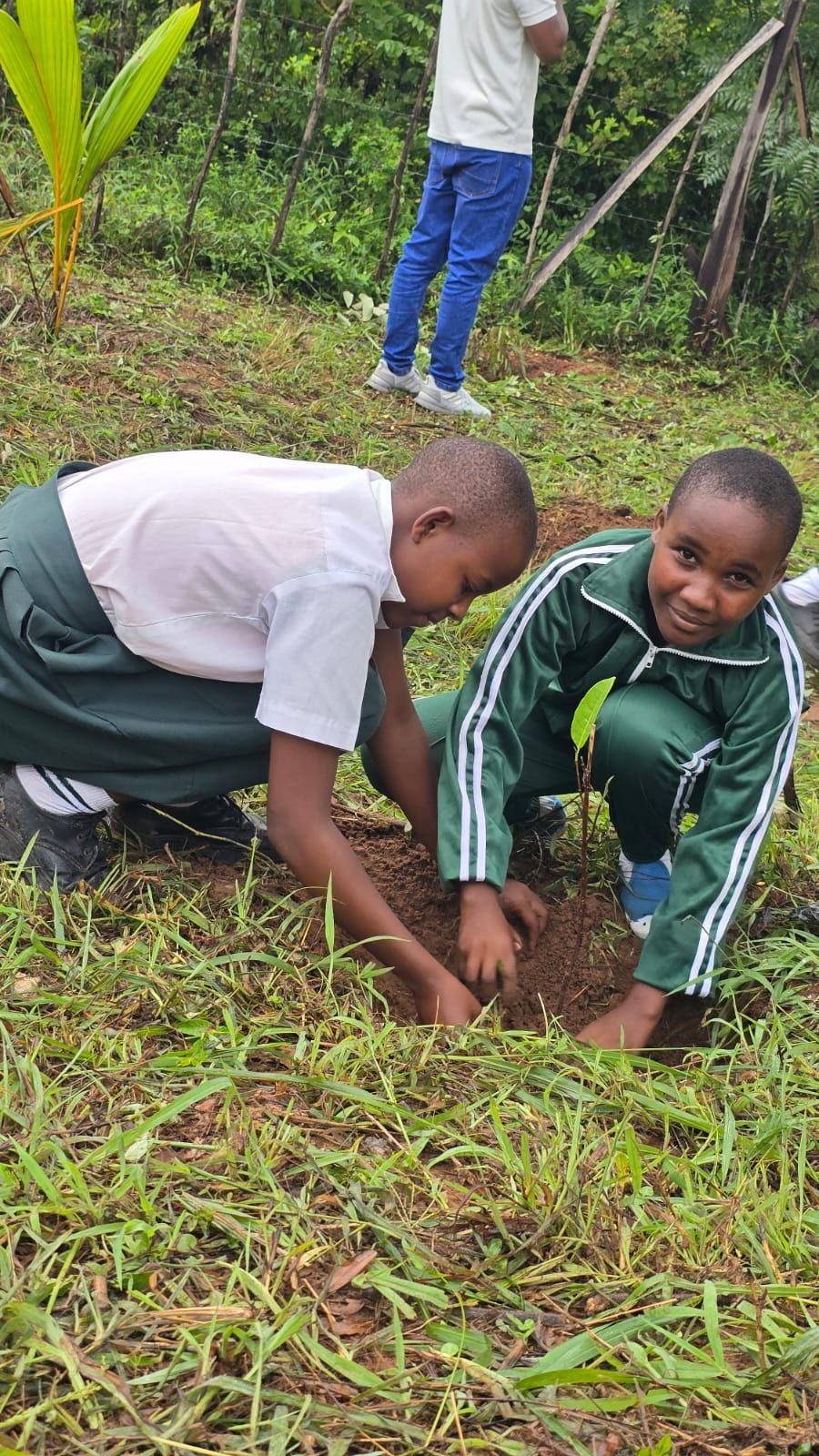 Two schoolchildren planting a tree seedling together