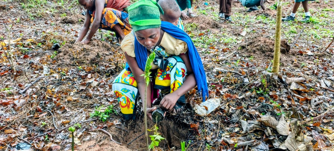 A woman planting a tree seedling in the forest