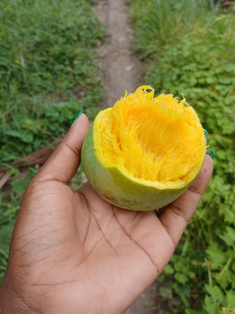 The juicy fruit of the harvest